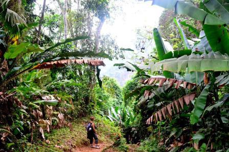 Ciudad Perdida